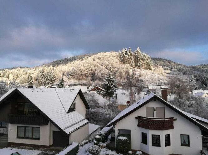 Spacious Flat In Adenau Near The N Rburgring Zewnętrze zdjęcie